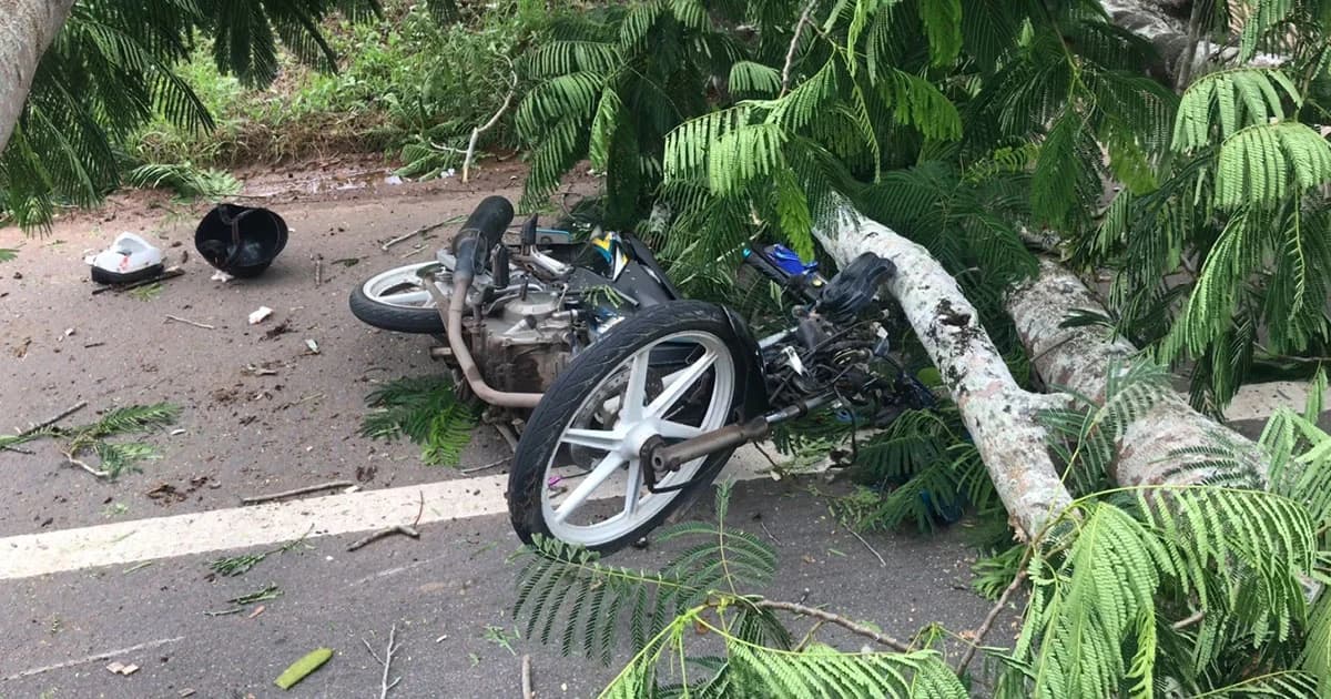 วิน จยย.ขี่กลับหลังส่งลูกค้า ถูกต้นไม้ล้มทับเสียชีวิต