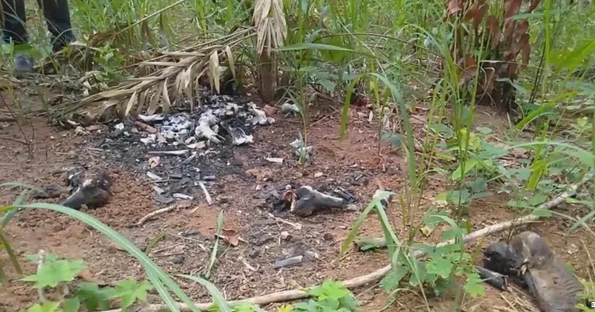 พบโครงกระดูกมนุษย์ปริศนา ถูกเผาทิ้งในป่าต้นสัก จ.เชียงราย