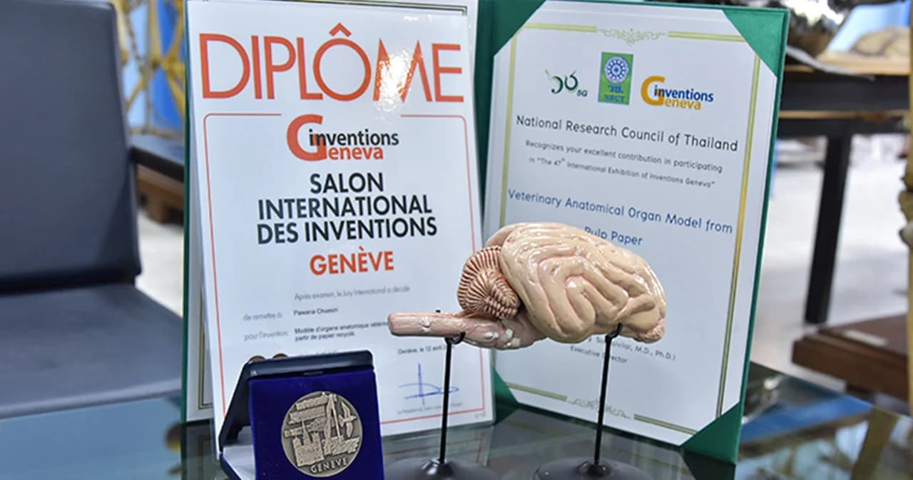 PAPER MACHE สมองสุนัข แก้ปัญหาอาจารย์ใหญ่ขาดแคลน