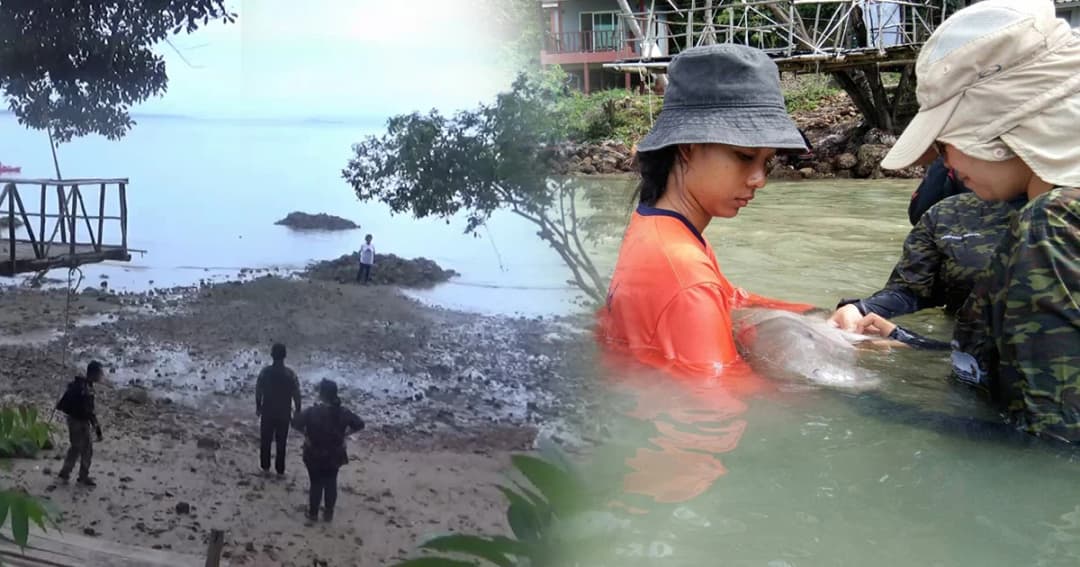 อุทยานฯ ส่งทีมสัตวแพทย์ สำรวจสร้างบ่อชั่วคราวอนุบาล “มาเรียม” ช่วงมรสุมใหญ่