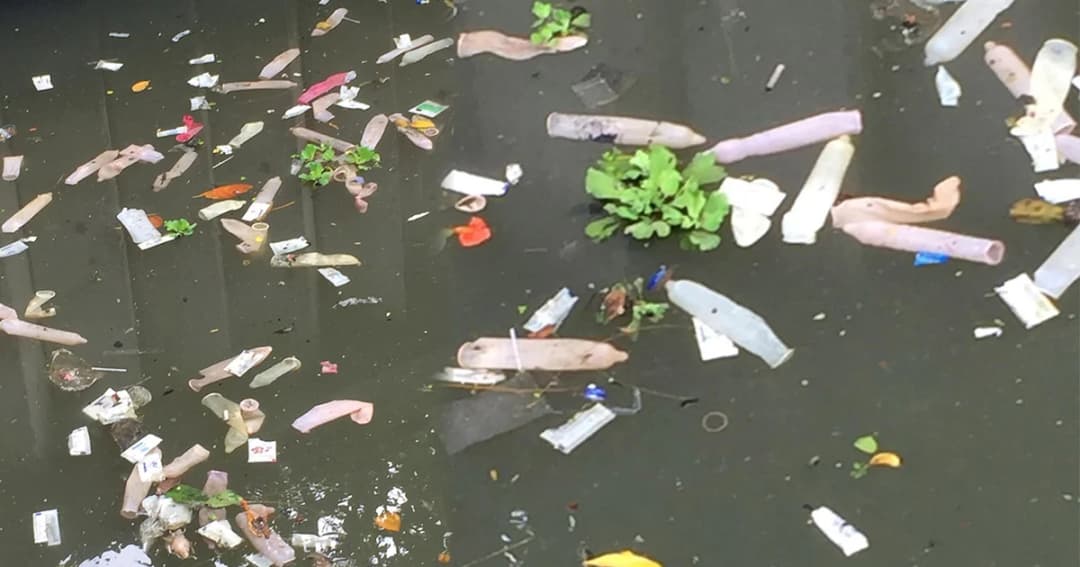 “ถุงยางอนามัย” ใช้แล้ว! ลอยเกลื่อนคลองบางกอกใหญ่