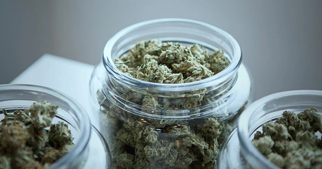 สธ.ตั้งกรรมการวิจัยการใช้กัญชาทางการแพทย์ด้านสุขภาพจิต