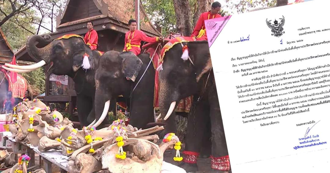 กรมศิลป์สั่งเจ้าของวังช้างอยุธยา ย้ายออกภายใน 30 วัน อ้างสิ้นสุดสัญญาเช่าพื้นที่