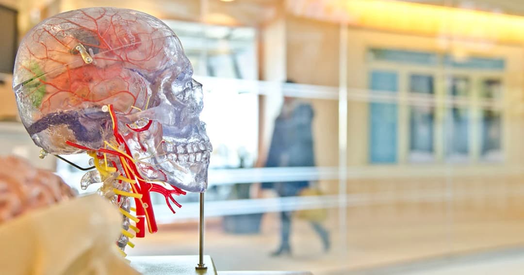 เตือนภัยผู้เสพยา “สมองติดยา” นำไปสู่สมองพิการถาวร