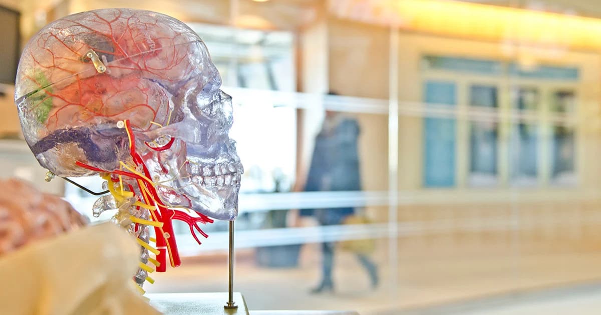 เตือนภัยผู้เสพยา “สมองติดยา” นำไปสู่สมองพิการถาวร