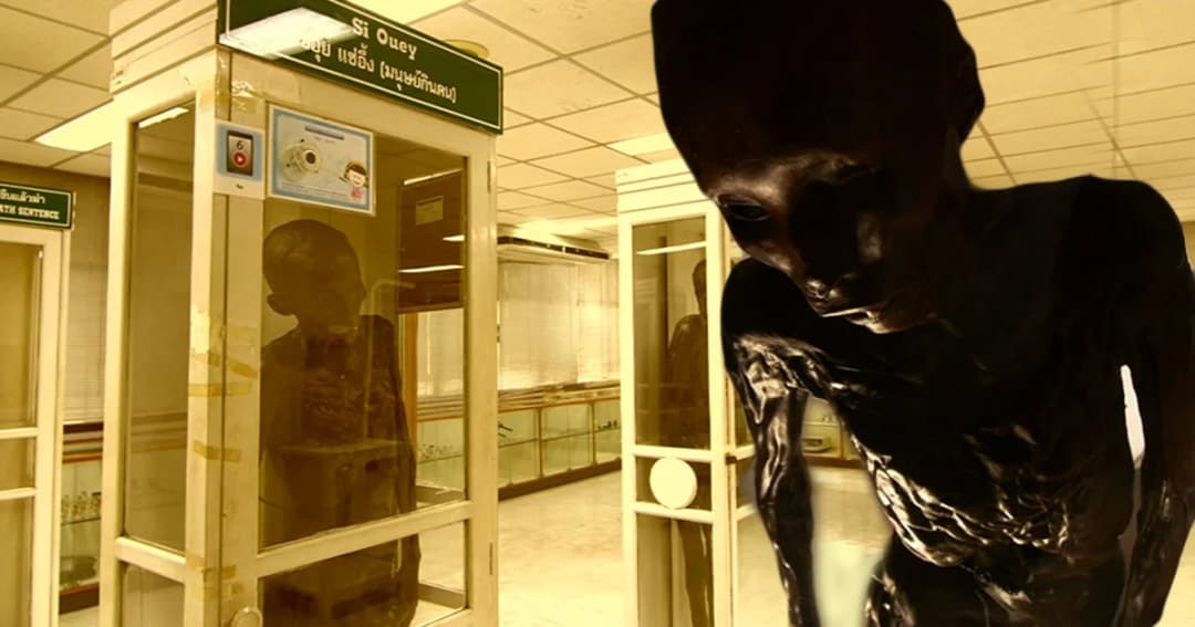 รพ.ศิริราช เตรียมฌาปนกิจ ‘ซีอุย แซ่อึ้ง’