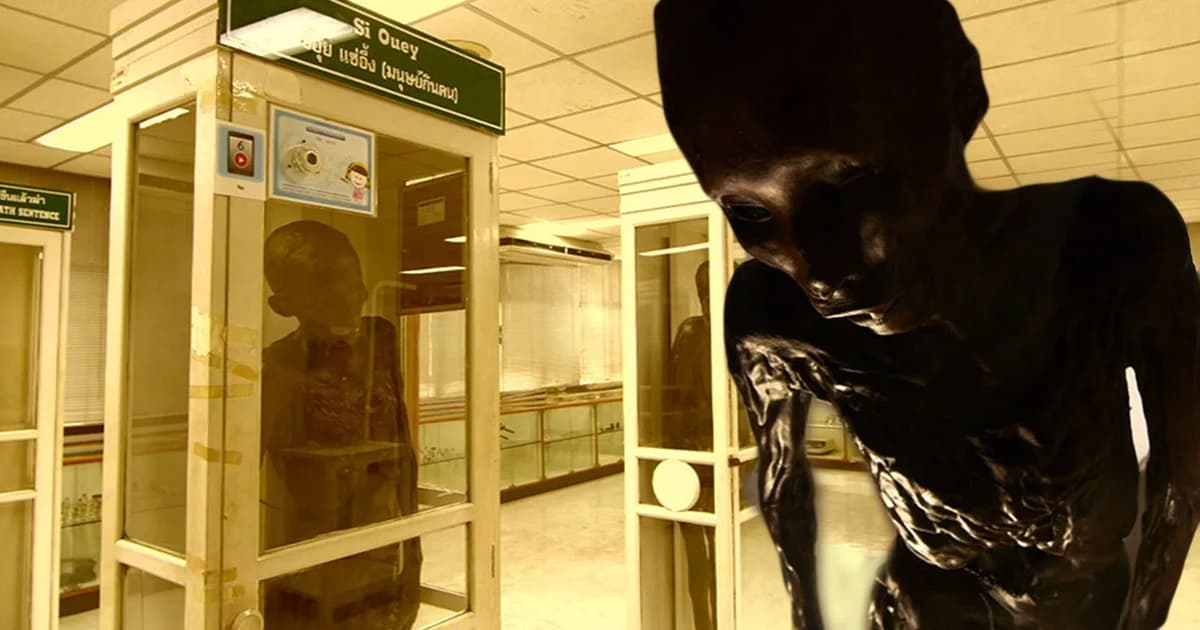 รพ.ศิริราช เตรียมฌาปนกิจ ‘ซีอุย แซ่อึ้ง’