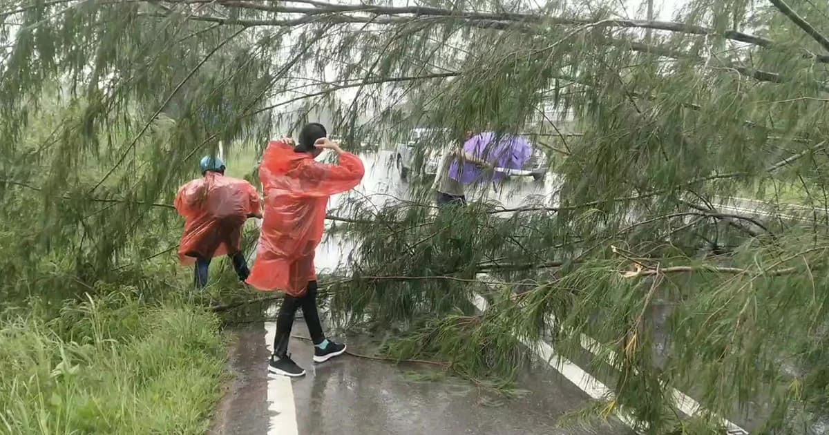 พายุฝนถล่มหนักพัดต้นไม้โค่นขวางถนน ชาวบ้าน-เจ้าหน้าที่ช่วยกันเคลียเส้นทาง