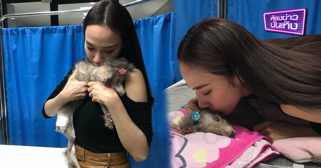 “อั้ม” โพสต์เศร้าถึงน้องหมาสุดรัก ยื้อชีวิต หลังอยู่ด้วยกันมา 20 ปี