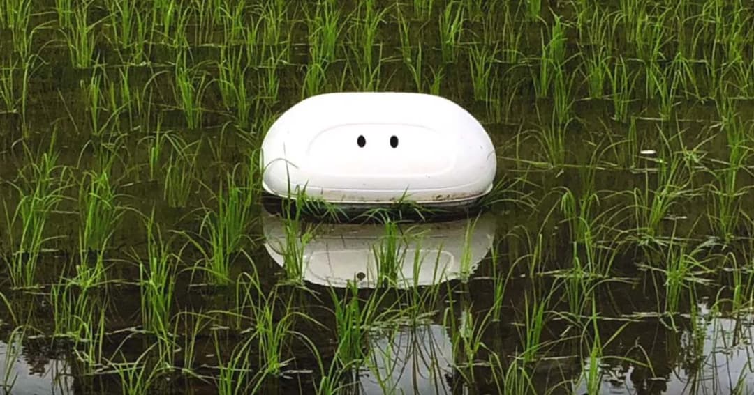 “นิสสัน” สร้าง “ไอกาโมะ” หุ่นยนต์เป็ด ช่วยกำจัดศัตรูพืช ให้กับชาวนาญี่ปุ่น