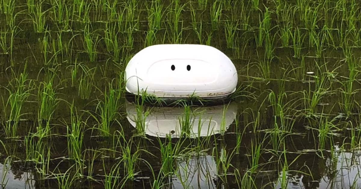 “นิสสัน” สร้าง “ไอกาโมะ” หุ่นยนต์เป็ด ช่วยกำจัดศัตรูพืช ให้กับชาวนาญี่ปุ่น