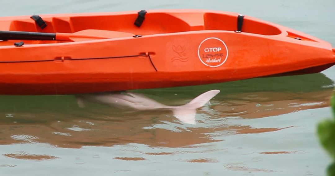 ห่วง ‘มาเรียม” คุ้นคนซ้ำรอย “เจ้าโทน”