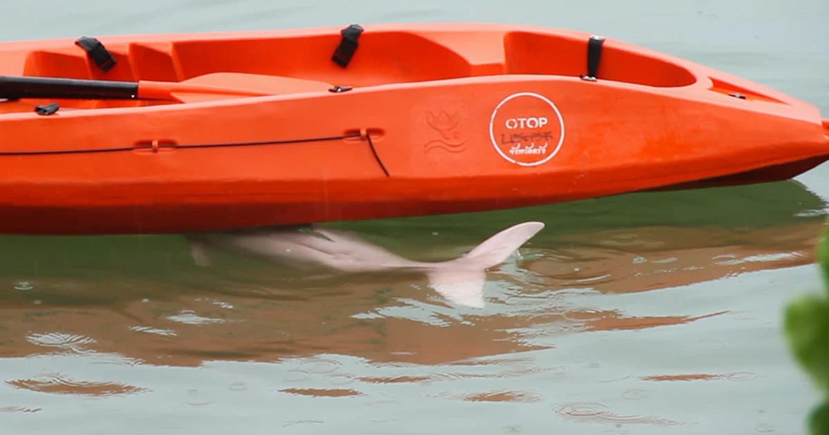 ห่วง ‘มาเรียม” คุ้นคนซ้ำรอย “เจ้าโทน”