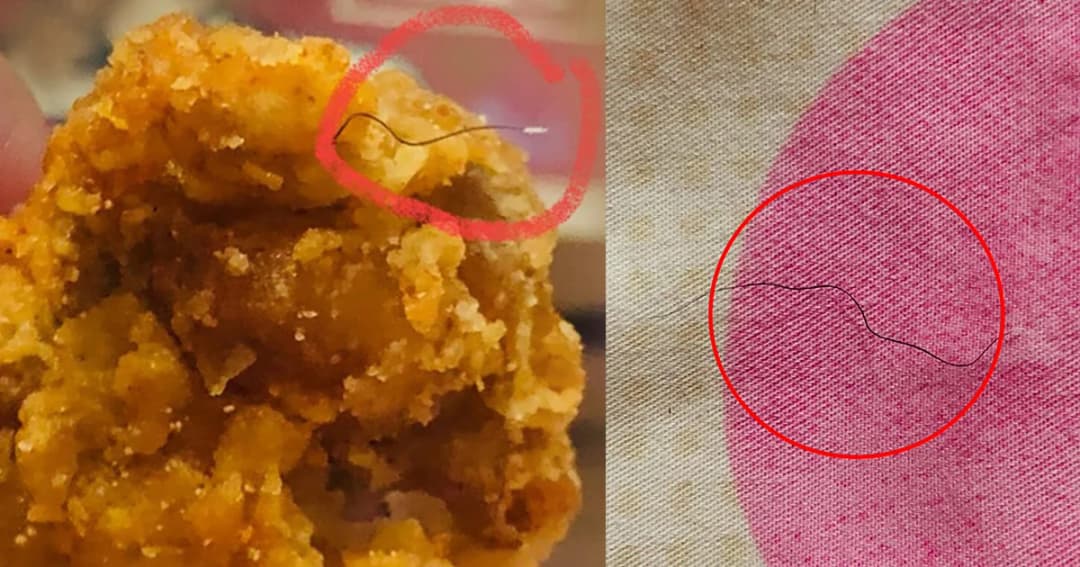 เคเอฟซีเพิ่มความเข้มงวดความสะอาด หลังสาวเจอขนปริศนาในไก่ทอด