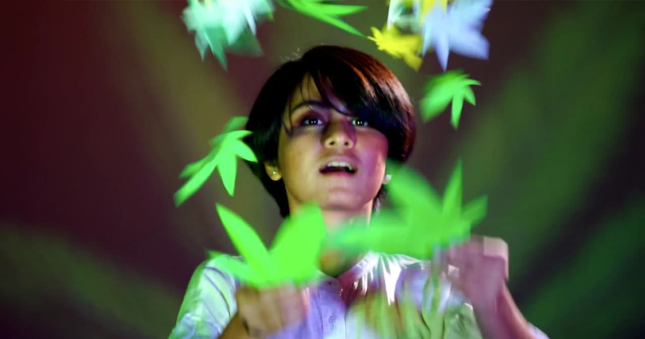 ตั้งหลัก ทำความเข้าใจ ก่อนมีการเสนอกฎหมายกัญชา