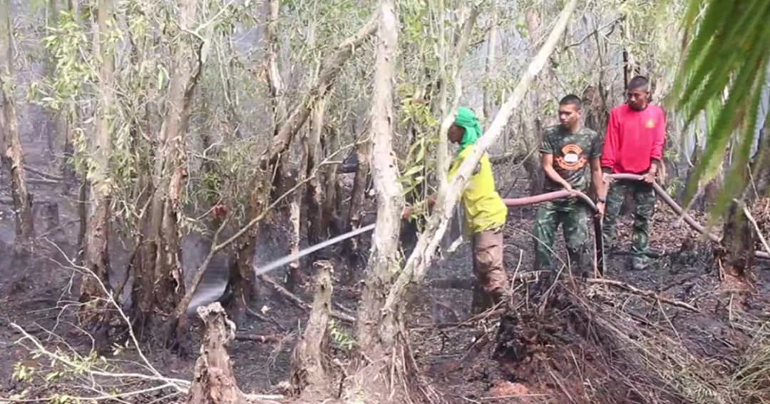 ไฟไหม้ป่าพรุควนเคร็ง เสียหายแล้วกว่า 1,200 ไร่