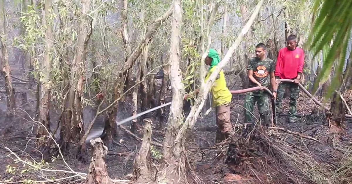 ไฟไหม้ป่าพรุควนเคร็ง เสียหายแล้วกว่า 1,200 ไร่