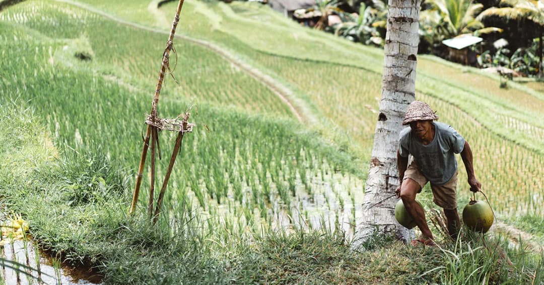 “แบงก์ชาติ” แนะรัฐบาลใหม่ ทบทวนนโยบายเกษตร มาตรการจูงใจราคาบิดเบือนกลไกตลาด