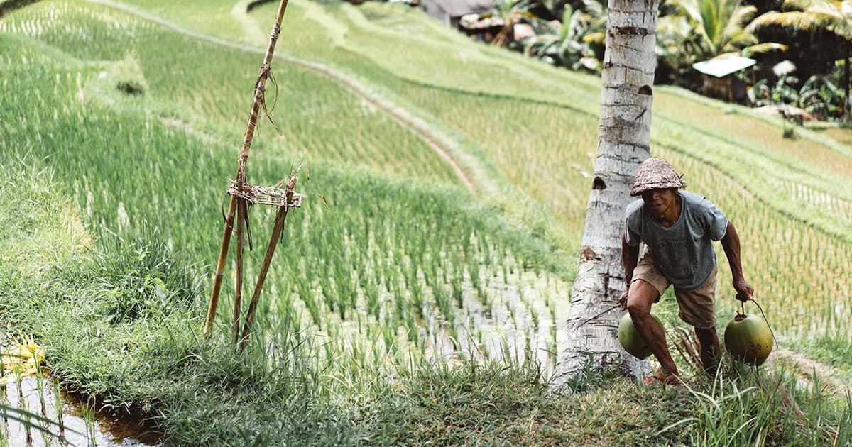 “แบงก์ชาติ” แนะรัฐบาลใหม่ ทบทวนนโยบายเกษตร มาตรการจูงใจราคาบิดเบือนกลไกตลาด