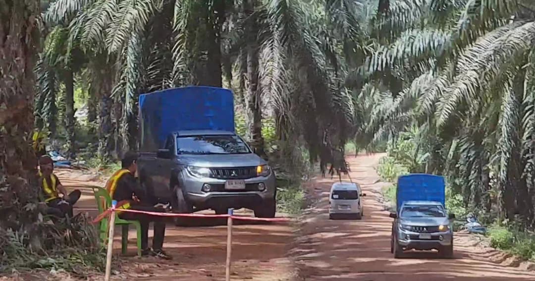 เปิดกล้องเริ่มถ่าย “Fast 9” ในสวนปาล์มน้ำมันกระบี่วันแรก รปภ.คุมเข้ม