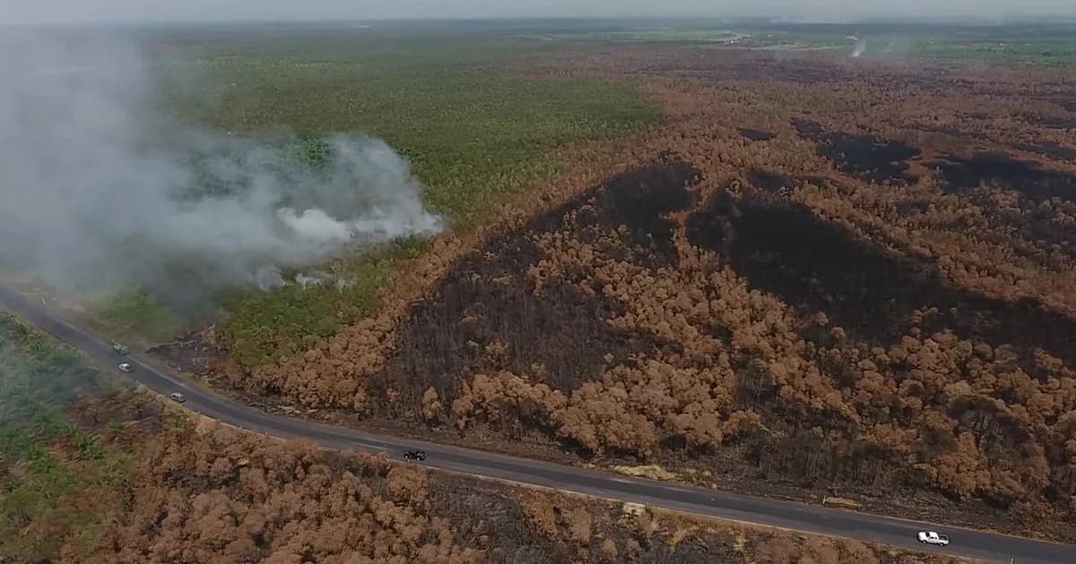ปะทุหนัก! ไฟไหม้ป่าพรุควนเคร็ง นครศรีฯ ลุกลามเสียหายแล้วกว่า 3 พันไร่