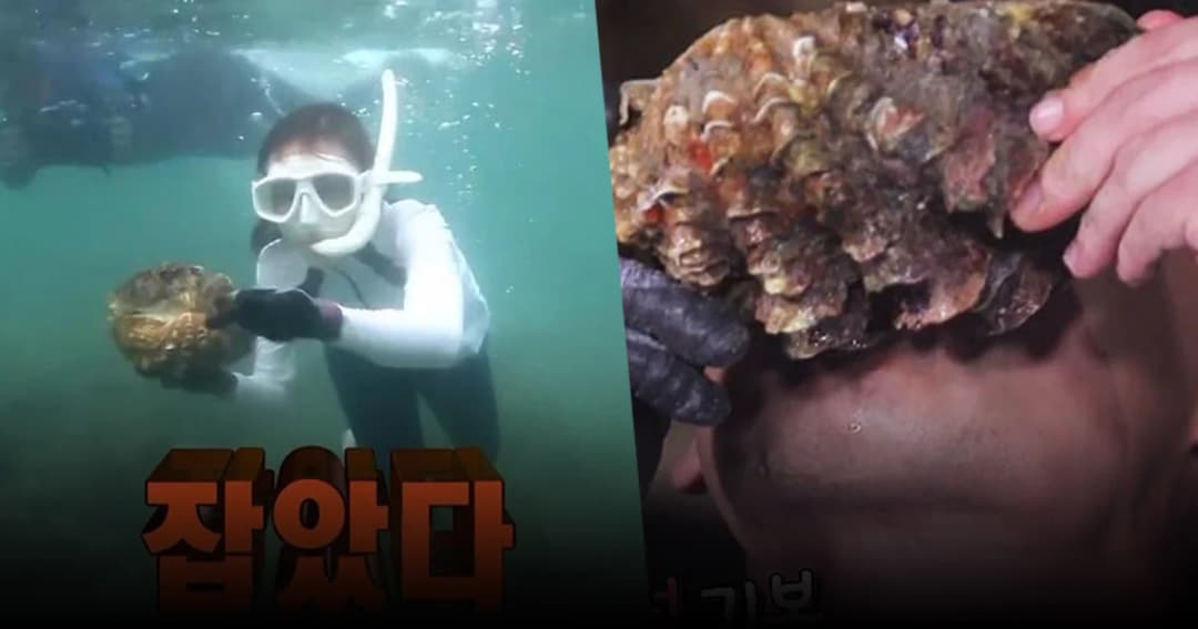“Law of the Jungle” ขอโทษอย่างเป็นทางการ ปมจับ “หอยมือเสือ” มาทำอาหาร