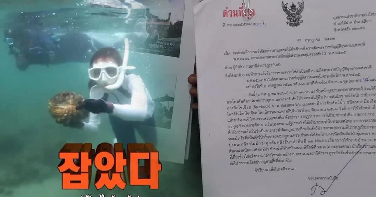 ขึ้นบัญชีดำ โปรดิวเซอร์รายการดังเกาหลี ห้ามถ่ายในไทยอีกปมทำลาย “หอยมือเสือ”