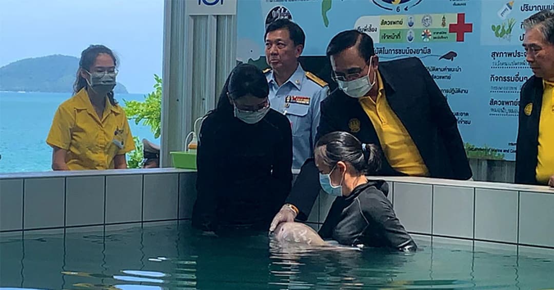 นายกฯ ป้อนนมลูกพะยูน “ยามีล” ขอบคุณ จนท.ที่ดูแลอย่างใกล้ชิด