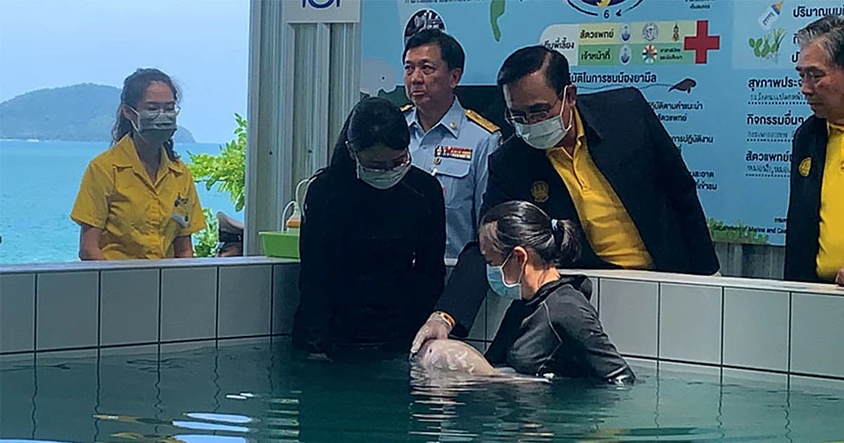 นายกฯ ป้อนนมลูกพะยูน “ยามีล” ขอบคุณ จนท.ที่ดูแลอย่างใกล้ชิด