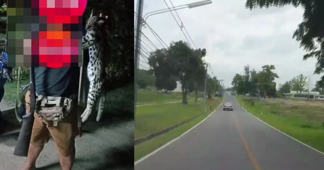 พญาเสือเข้า พล.ร.7 ตรวจสอบจุด “นายสิบ” ยิงถลกหนังแมวดาว สัตว์ป่าคุ้มครอง