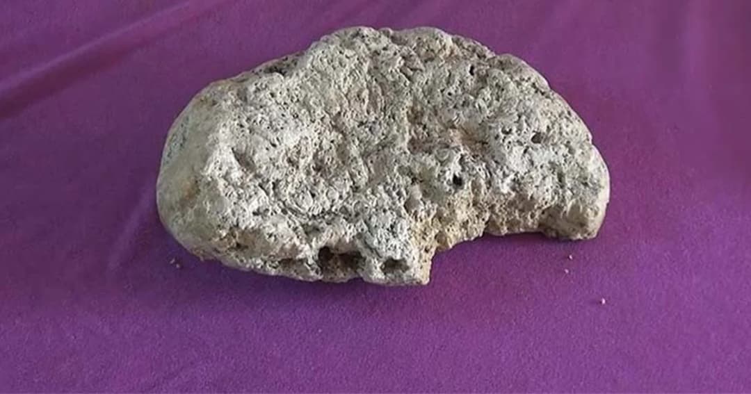 หนุ่มสตูล สุดดีใจ พบวัตถุปริศนาคล้าย “อ้วกวาฬ” รอตรวจสอบ ก่อนประกาศขาย