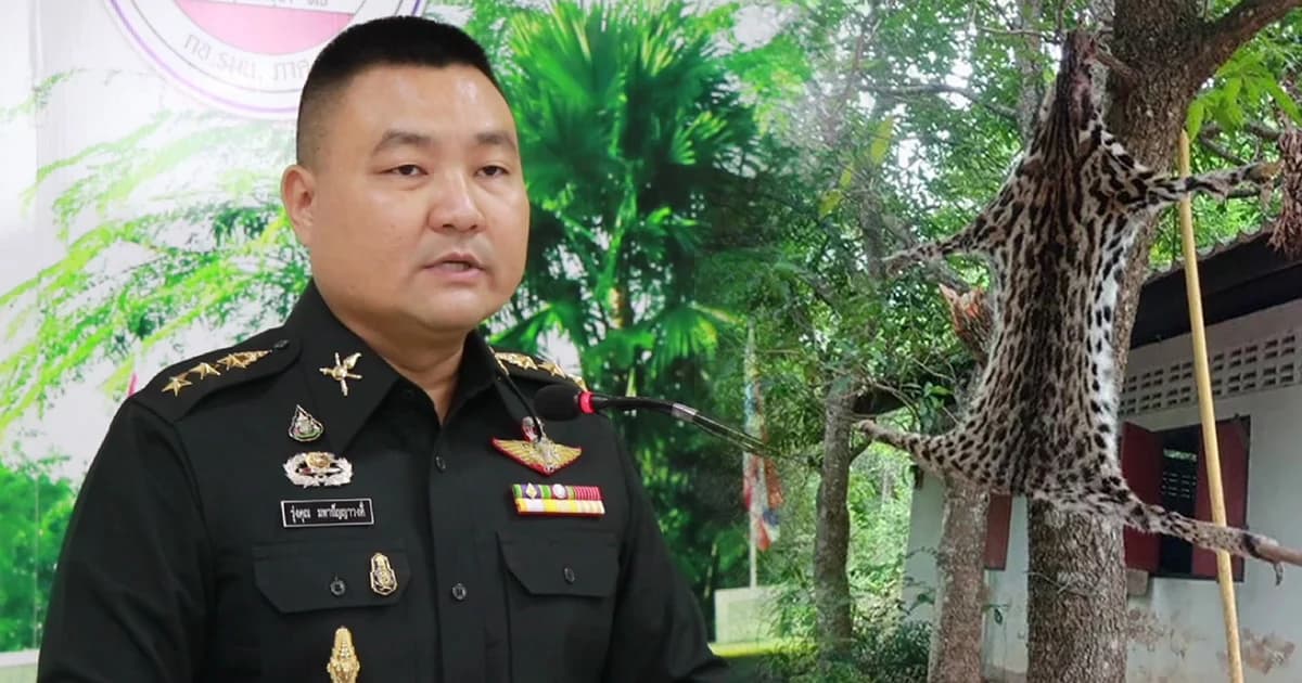 คาดรู้ผลใน 7 วัน ผบ.ทบ. สั่ง ทภ.3 ตั้ง คกก.สอบทหารถลกหนัง “แมวดาว” ตากแห้ง