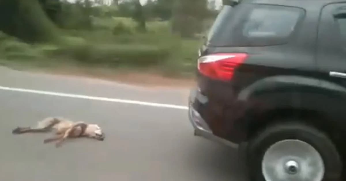 สุดสลด! หมาถูกผูกท้ายรถขับลากไปตามถนน