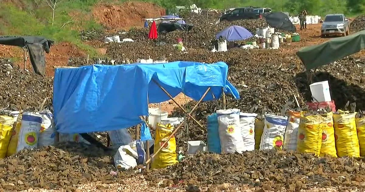 พบข้อมูล บ.อริสา รีไซเคิล ซื้อวัสดุใช้แล้วอีก 2 บริษัท