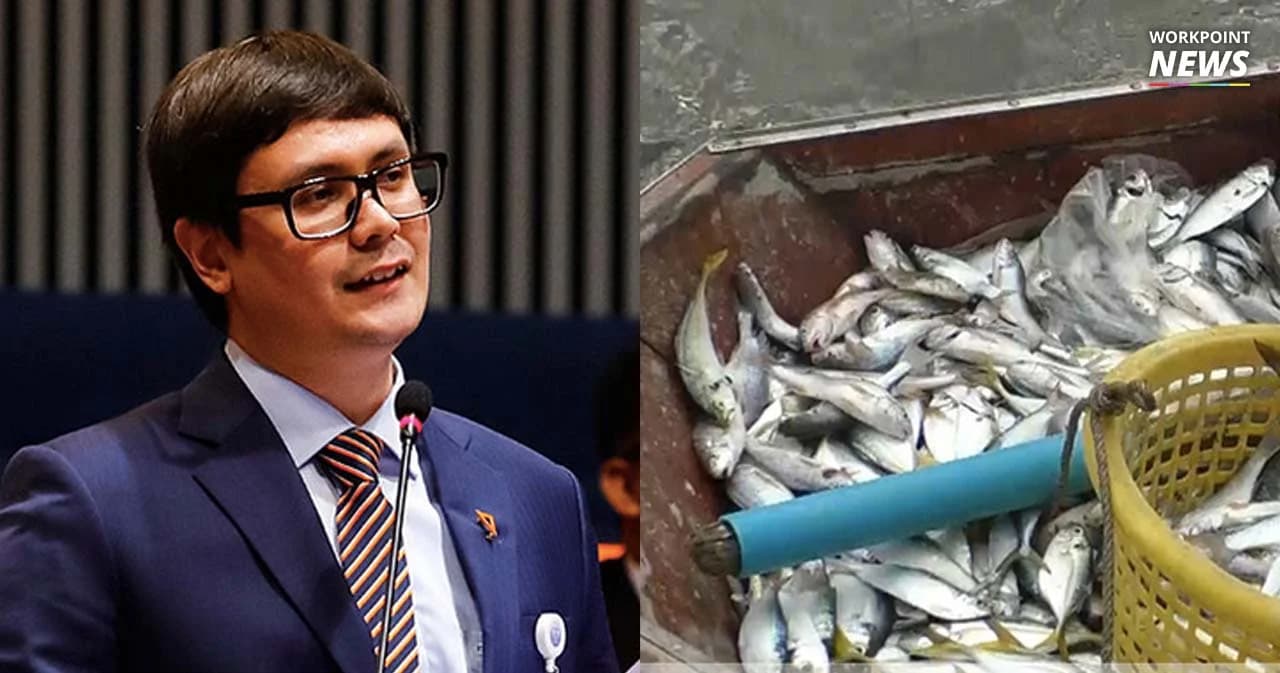 “โรม” จี้รมว.เกษตร ออกมาตรการประมงหลัง “ปลาทูไทย” ลดลงมาก