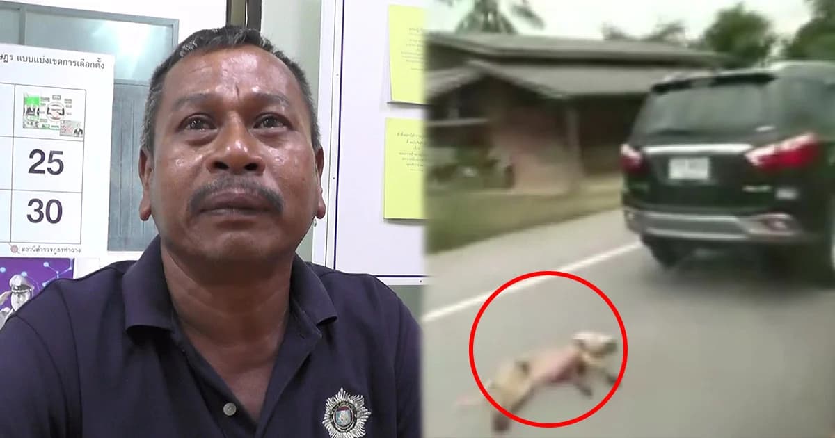 เจ้าของรถลากหมา อ้างไม่รู้มีสุนัขผูกท้ายรถ