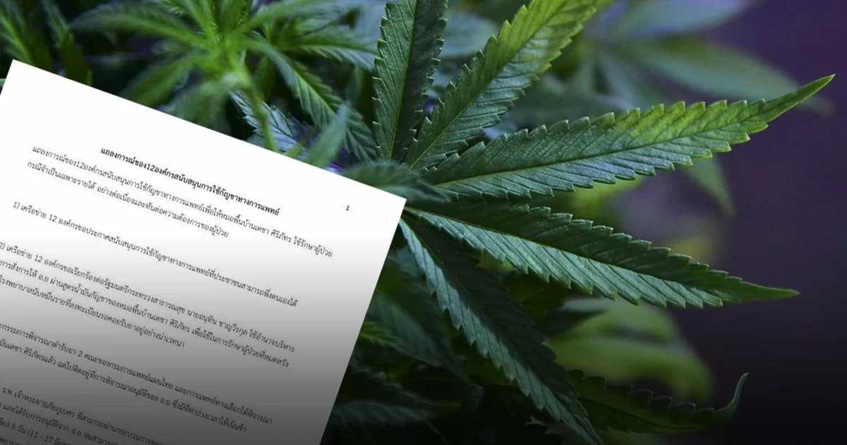 12 องค์กรแถลงการณ์ จี้ อนุทิน สั่งการ อย. รีบรับรองสูตรน้ำมันกัญชาหมอพื้นบ้าน อ.เดชา