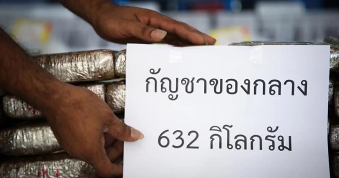 มอบกลางกัญชาให้ 3 หน่วยงานรัฐ ใช้ประโยชน์ทางการแพทย์และการศึกษาวิจัย