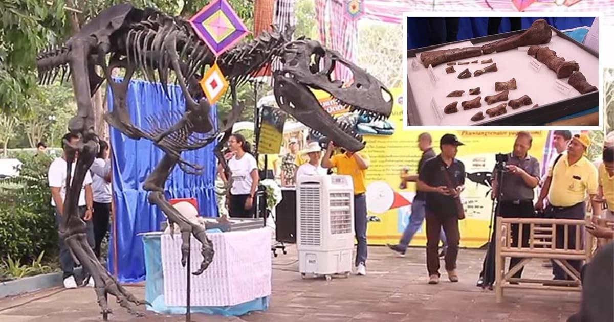 ค้นพบไดโนเสาร์ พันธุ์ใหม่ ที่อุทยานฯ ภูเวียง ขอนแก่น