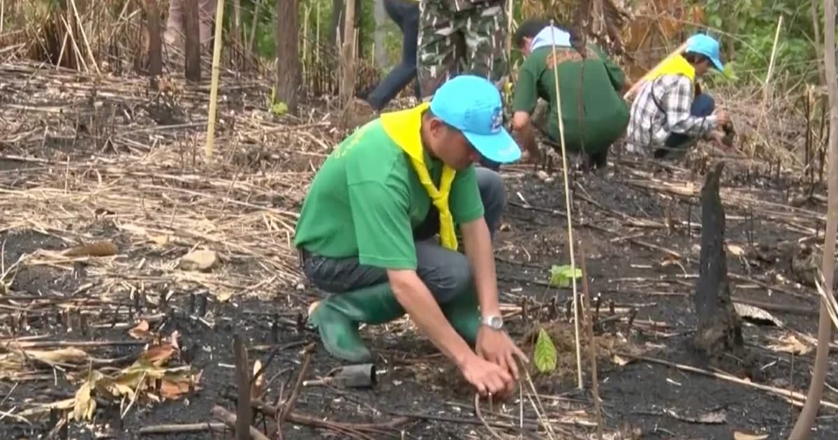 กระตุ้นอนุรักษ์สิ่งแวดล้อม ชาวเชียงใหม่ จัดกิจกรรม”ปลูกป่าแทนการถวายเทียนพรรษา”