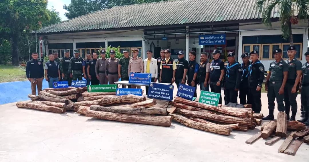 หน่วย นรข.บุกยึดไม้พะยูง 73 ท่อน ผู้ต้องหา 1 ราย