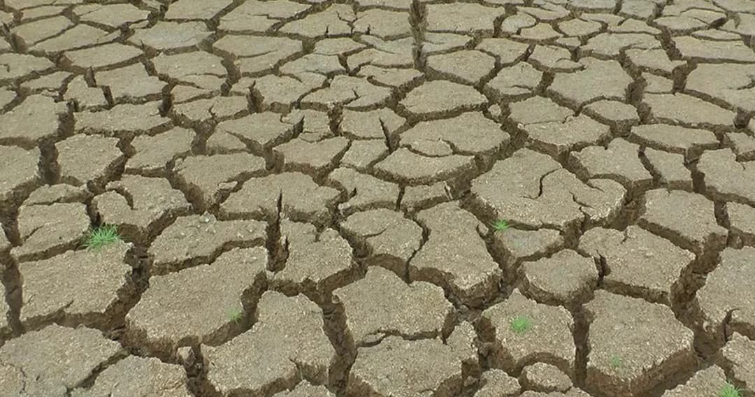 กรมอุตุฯ เผย ปีนี้ฝนตกน้อยสุดในรอบ 10 ปี เสี่ยงแล้งหนัก