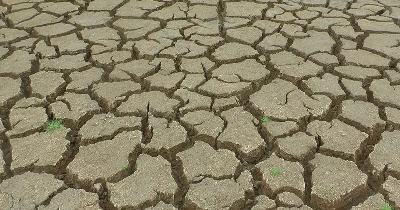 กรมอุตุฯ เผย ปีนี้ฝนตกน้อยสุดในรอบ 10 ปี เสี่ยงแล้งหนัก