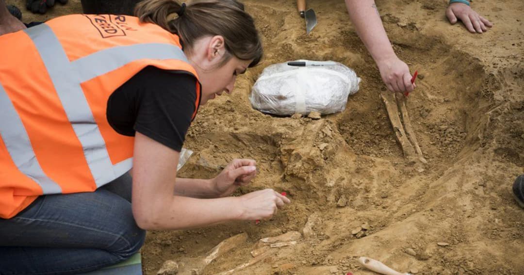 นักโบราณคดีค้นพบกระดูกมนุษย์บริเวณที่ตั้งโรงพยาบาลสนามสมรภูมิวอเตอร์ลู