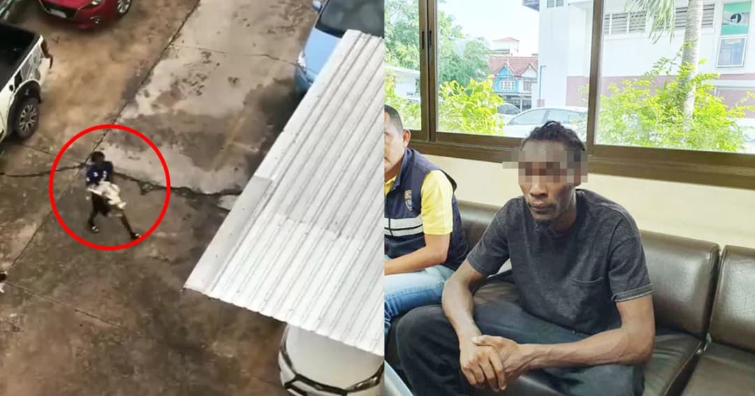 หนุ่มโมโห! ไซบีเรียนกัดสายชาร์จพัง ชกจนขี้แตก