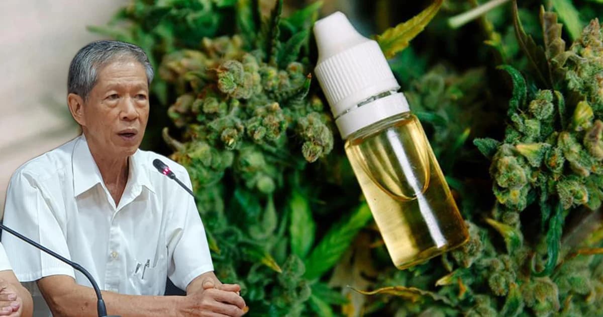 ยังไม่รับรอง ‘น้ำมันกัญชา’ สูตร อ.เดชา ติดปม ‘หมอพื้นบ้าน’