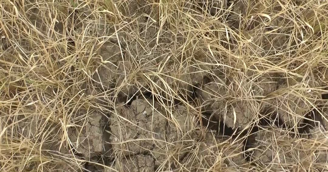 ตั้งวอร์รูมช่วยเหลือเกษตกรประสบภัยแล้ง