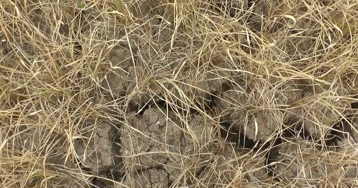 ตั้งวอร์รูมช่วยเหลือเกษตกรประสบภัยแล้ง