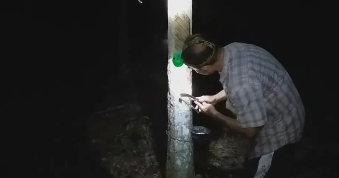 ทวงรัฐบาลก่อนแถลงนโยบาย รับปากราคายางกิโลละ 60 บาท