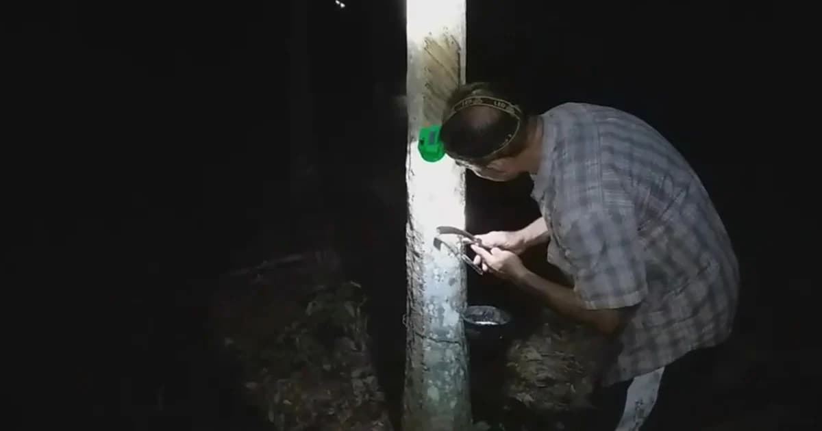 ทวงรัฐบาลก่อนแถลงนโยบาย รับปากราคายางกิโลละ 60 บาท